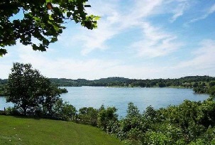 Relax within the serene landscape of the Nolde Forest